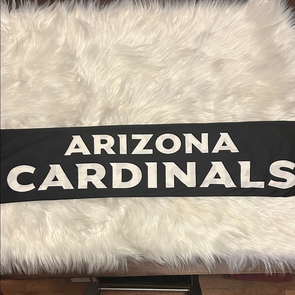 Arizona Cardinals Black & Red Graphic Scarf “LET’S GO CARDS!” “RISE UP RED SEA!” - Picture 2 of 9